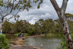 Newport Lakes